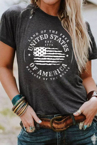 United States Of America Flag Graphic T-Shirt: L / Grey