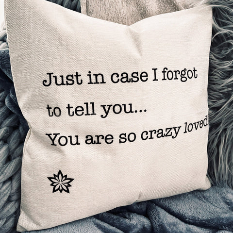 Love Notes: You Are So Crazy Loved Pillow Cover